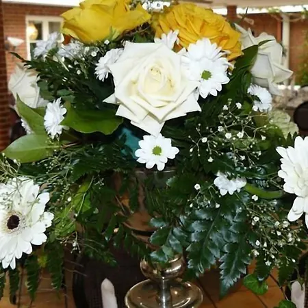 Hotel Graensekro Rudbol