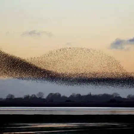 酒店 Graensekro 3*